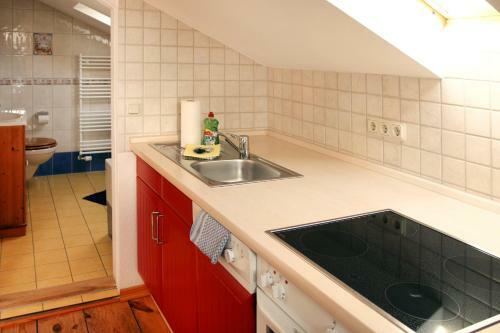 Aparthotel Villa Albus