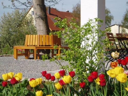 Hostal Weinhof Am Nussbaum