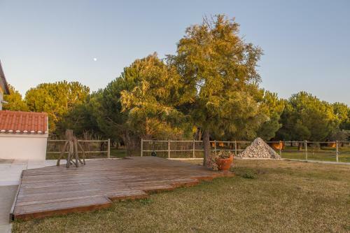 Hostal Monte Mac�rio Alojamento Local