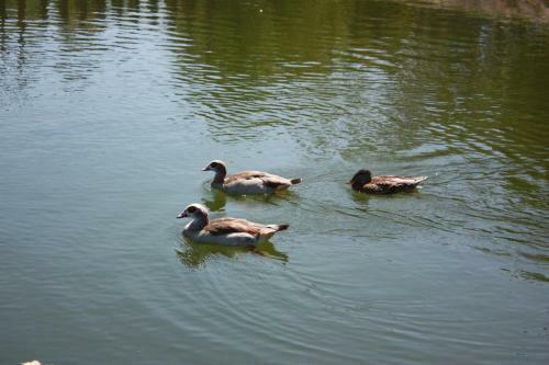 Agroturismo Quinta De Santo Est�v�o