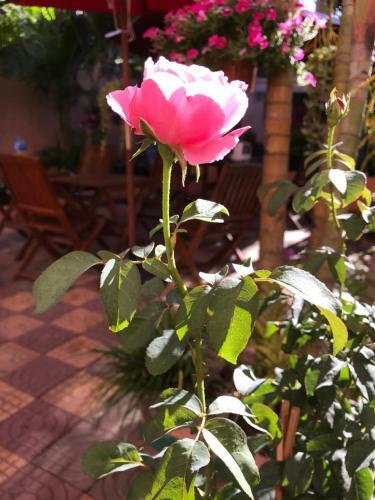 Hostal Villa Koh Dach