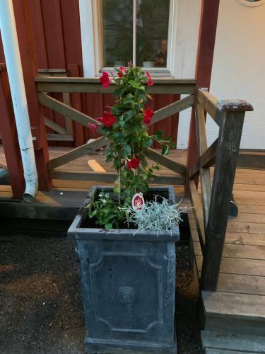 Hostal Mellanfj�rdens Pensionat