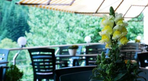 Hotel Cafe Waldeck