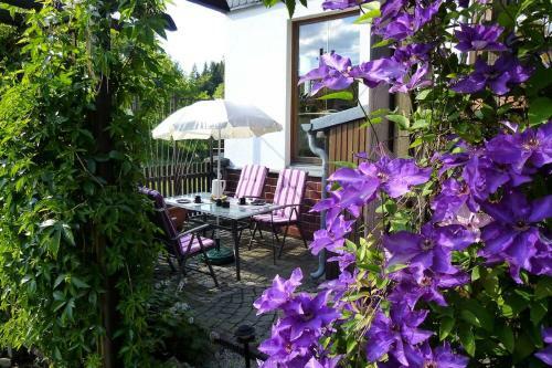 Apartamento Hammerfinken-nest