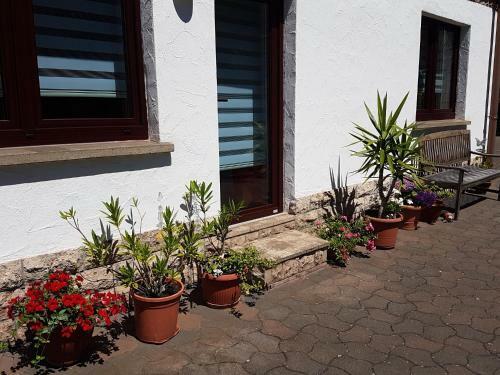 Apartamento Ferienwohnung Am Rennsteig Bei Eisenach - Ilona Schmidt