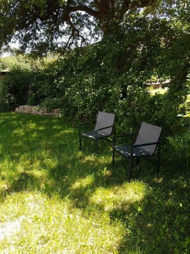 Apartamento Ferienwohnung Am Rennsteig Bei Eisenach - Ilona Schmidt