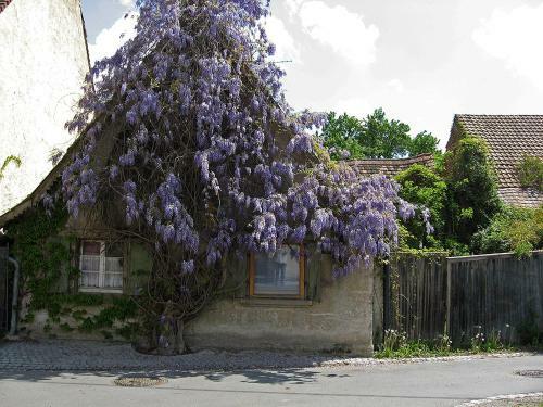 Hostal Die Sprachpension - The Language Guesthouse