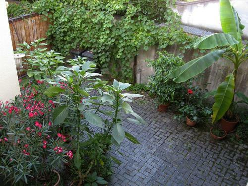 Hostal Die Sprachpension - The Language Guesthouse