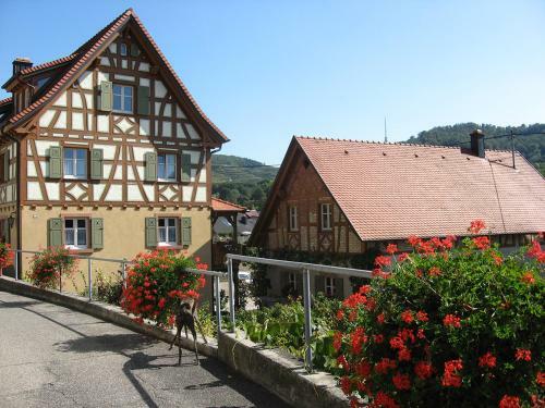 Hostal Die Sprachpension - The Language Guesthouse