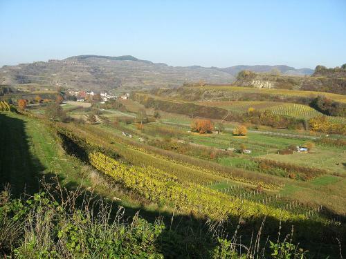 Hostal Die Sprachpension - The Language Guesthouse