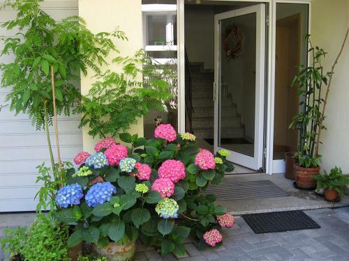 Hostal Die Sprachpension - The Language Guesthouse