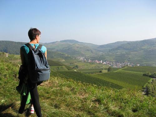 Hostal Die Sprachpension - The Language Guesthouse