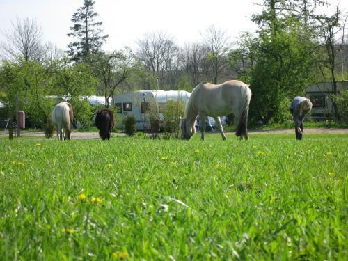 Boeslunde Bed & Breakfast