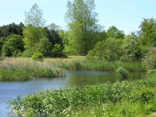 Holiday Home Dagel�kke II
