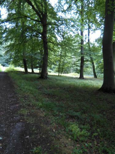 Lystskov Camping & Cottages