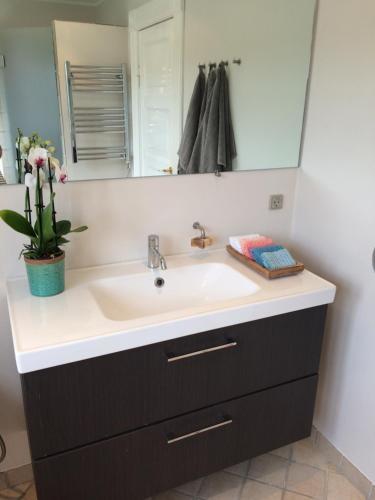 Bed & Breakfast Villa Vestbo