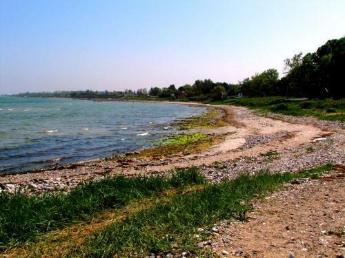 B&B Rosen�rn - Nyborg