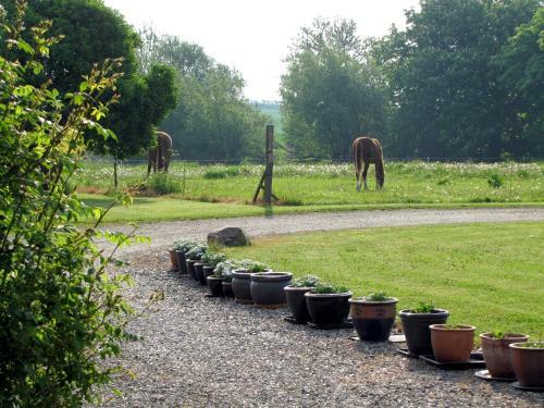 B&B Rosen�rn - Nyborg