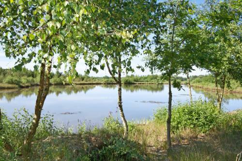 Apartamento Egebjerggaard Bed & Breakfast