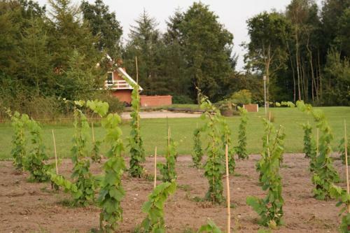 Apartamento Egebjerggaard Bed & Breakfast