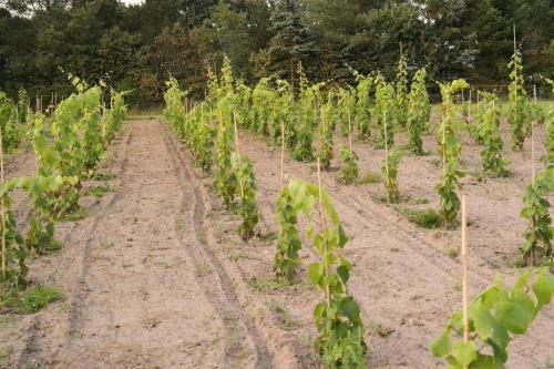 Apartamento Egebjerggaard Bed & Breakfast