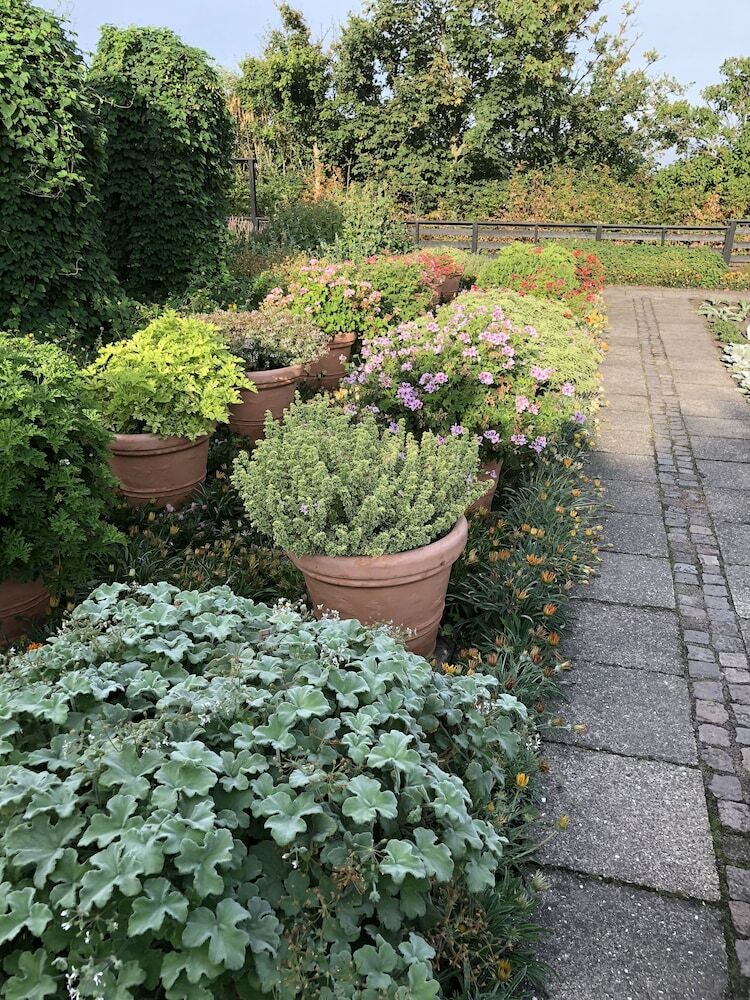Hotel Danhostel Vitsk�l Kloster