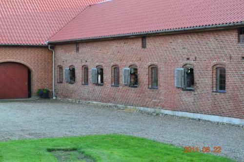 Bed & Breakfast Tistrup