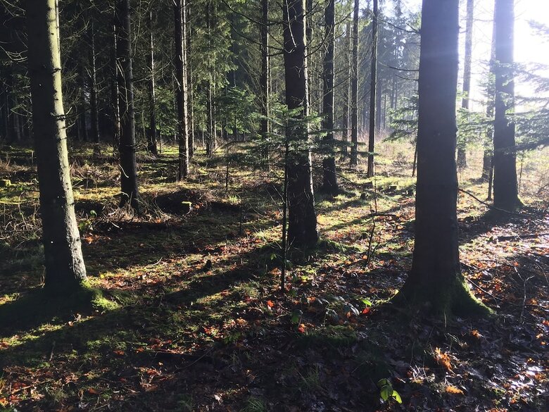 Vorbasse Camping