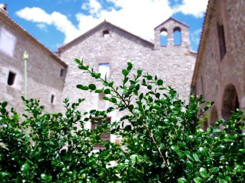 Monestir De Sant Salvi