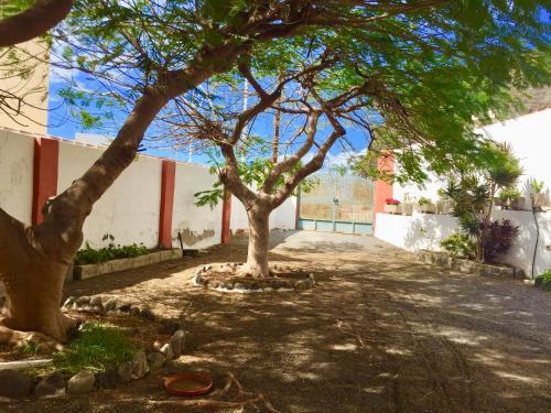 Tazacorte Puerto