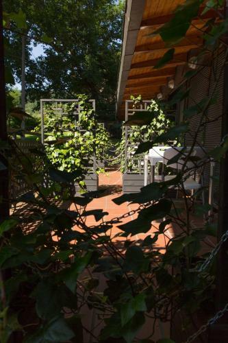 Apartamento Estudios Ermitabarri