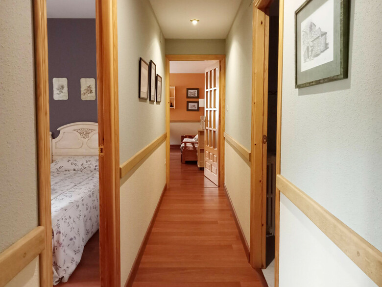 Apartamentos Gav�n Biescas 3000