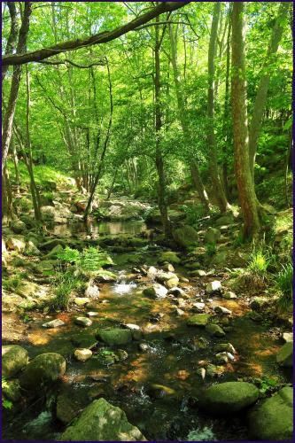 C�mping Parc Gualba