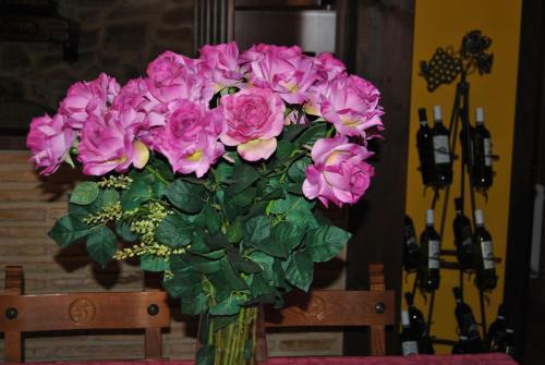 Bed & Breakfast Agroturismo El Encuentro