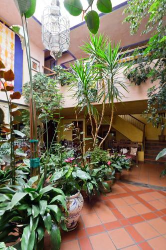 Hotel De Mecina Fondales