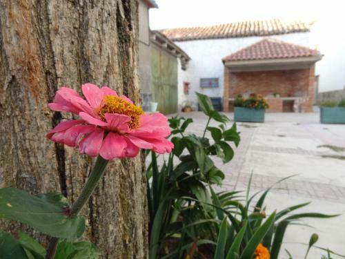 Apartamentos Rurales Saqura Experiences