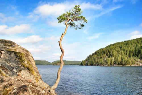 F�llingen Hotell & Cottages