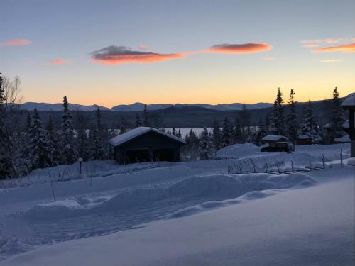Villa Ottsj� Bear Lodge
