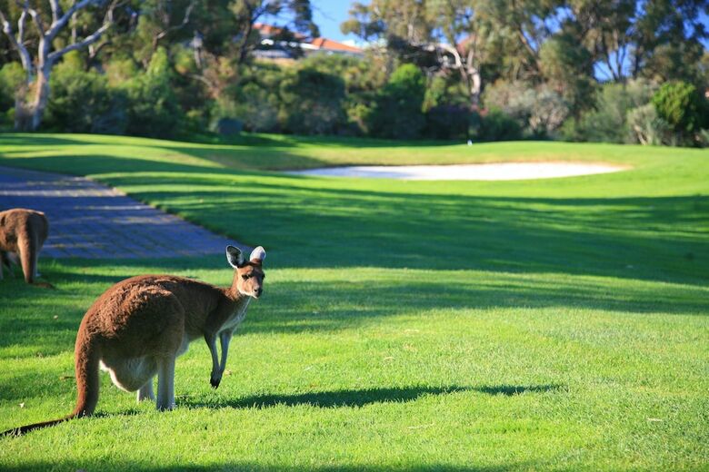 Hotel Joondalup Resort