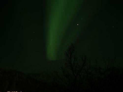 Lyngen Havfiske Og Tursenter