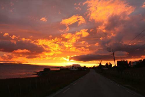 Lyngen Havfiske Og Tursenter