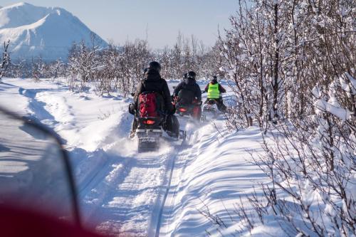 Lyngen Havfiske Og Tursenter