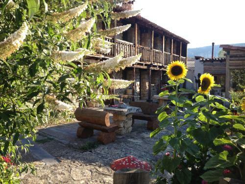 Apartamento Casas Rurales Chon Alto Tajo