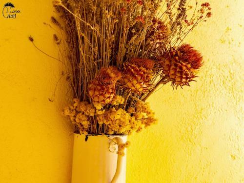 Apartamento Casas Rurales Chon Alto Tajo