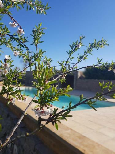 Agroturismo La Codina