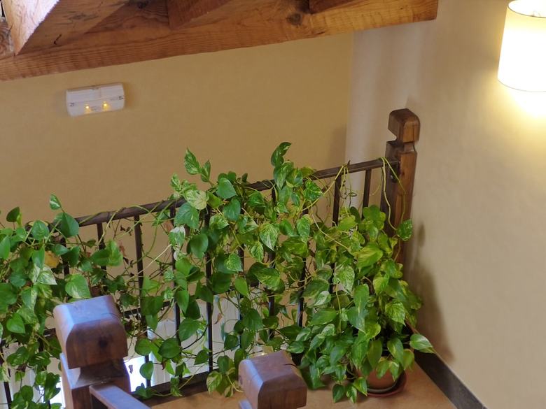 Hotel Hosteria Del Arco