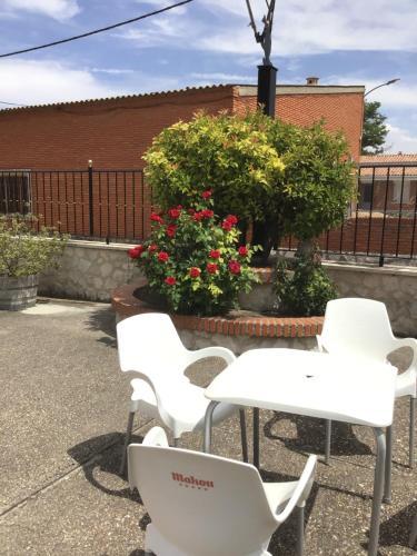 Hostal Infante