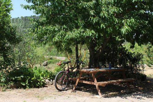 Agroturismo Ca La Nuri