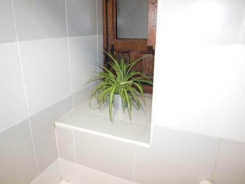 Albergue Las Huellas De Cameros
