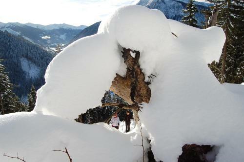 Posada Alpengasthof Grobbauer